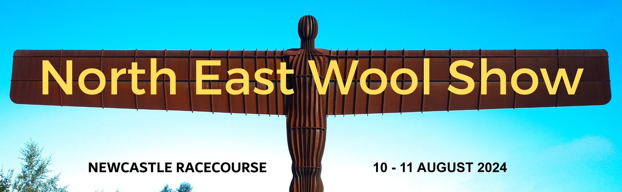 North East Wool Show Tickets